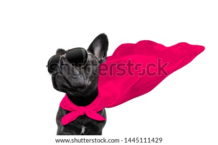 super hero french bulldog dog with  red cape and  sunglasses for justice and strenght isolated on white background Royalty-Free Stock Photo #1445111429
