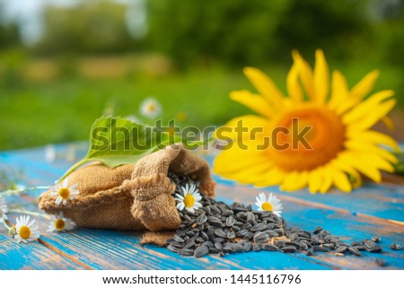 Fried sunflower seeds in ecological packaging on a wooden table against the background of a yellow sunflower. Ecological biodegradable packaging of roasted sunflower seeds. Raw grains of sunflower.