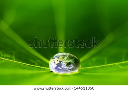 The world in a drop of water on a leaf. Elements of this image furnished by NASA