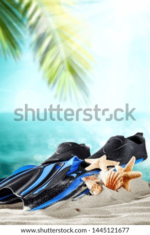 Sport fins on beach and summer time 