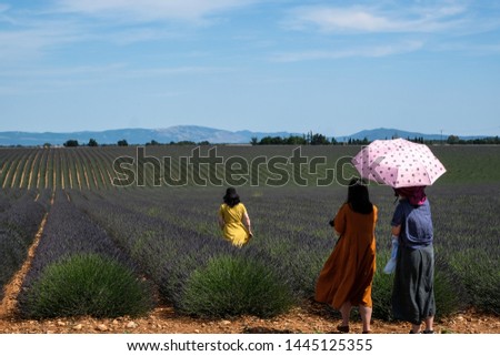 violet lavender fields with asian people making pictures, provence, france, europe