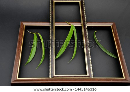 Wooden frame for photos and paintings on a black background with leaves
