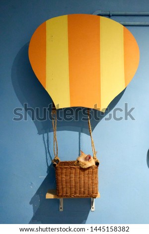          Orange cat in a hot air balloon designed basket                      