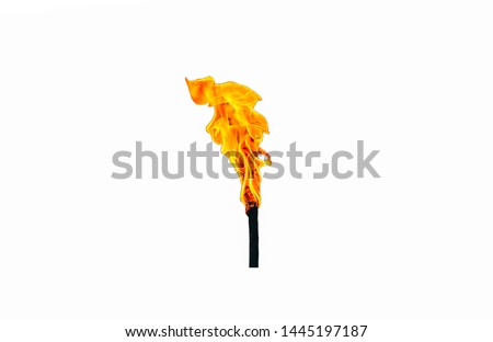 Torch with fire isolated on white background. Royalty-Free Stock Photo #1445197187
