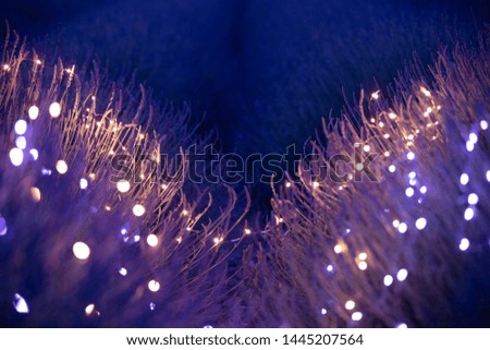 Nature background with Lavender field and light bulbs bokeh in purple tone at night.