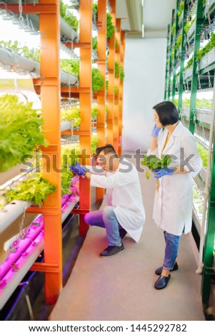 Agronomists working. Top view of two professional agronomists working in greenhouse together