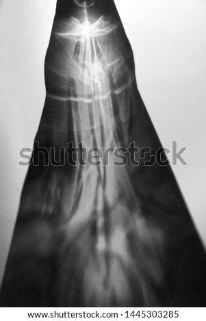 Abstract black and white photography like x-ray 
