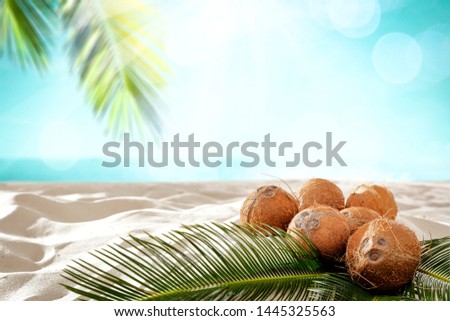 Summer photo of coconuts on beach and green palms 