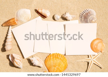 Blank vintage images with seashels on sand background