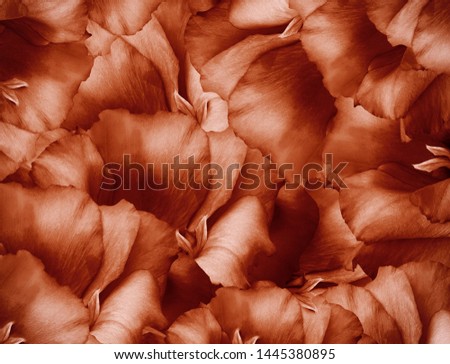 Floral red background. A bouquet of  turquoise  flowers.  Close-up.   floral collage.  Flower composition. Nature.  