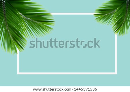 Natural green palm leaves on a pastel blue background
