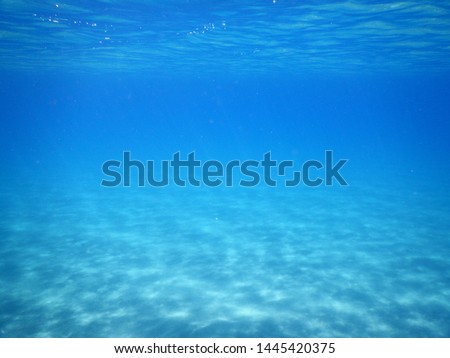 the intense shades of blue of the deep sea looking horizontally in the clear water of low sandy seabed Royalty-Free Stock Photo #1445420375