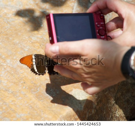 make picture with camera at beautiful butterfly 