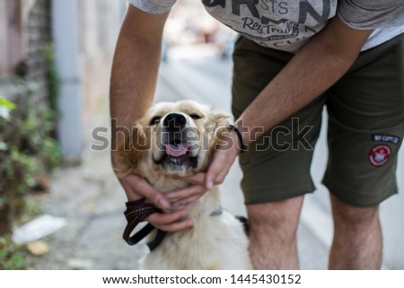 Man playing with his dog on street.