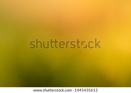 Gradient yellow and green background ,Gold, Season, Springtime, Summer, Sun