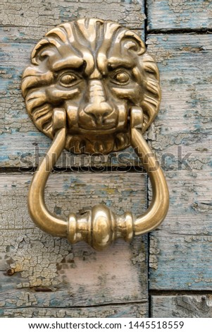 Lion door knocker on a wooden door