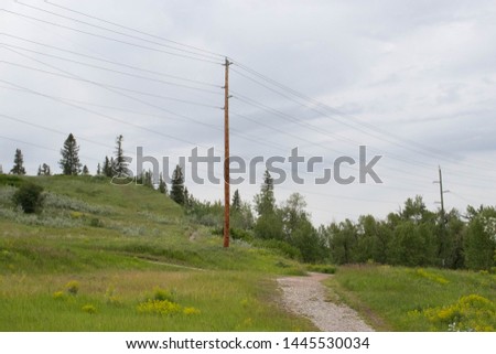 Telephone pole among rolling hills.