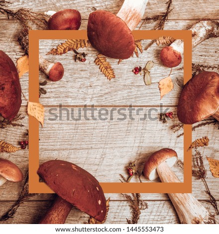 Autumn leaf composition with picture frame. Copy space.