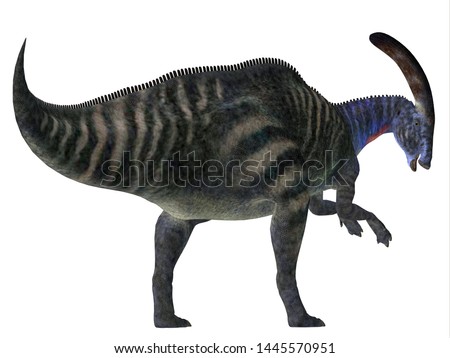 Parasaurolophus Dinosaur Tail 3D illustration - Parasaurolophus with a cranial crest was a herbivorous Hadrosaur dinosaur that lived in North America during the Cretaceous Period.