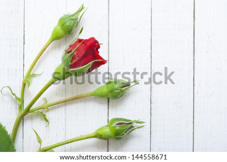 heart shape from red rose petals on wood surface
