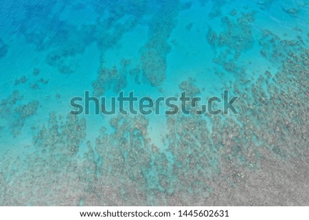 Aerial drone shoreline ocean coral reef hawaii palm trees and sand