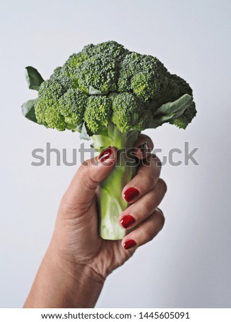 Female hand with nail polish holding fresh green broccoli like a flowers bouquet on white background. Food ingredient preparation for ketogenic diet meal plan, healthy eating lifestyle theme.
