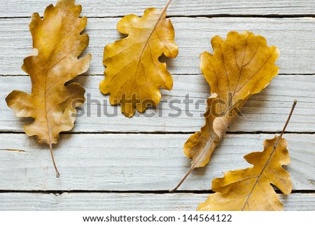 autumn leaves on weathered wooden background