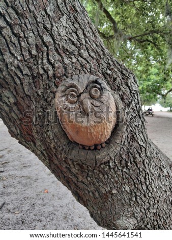 Owl carved from tree knot.