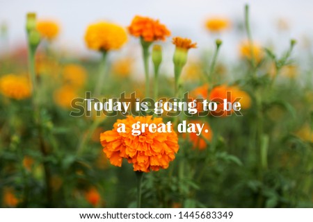 Inspirational motivational quote - Today is going to be a great day. With blurry image of beautiful marigold flowers blossom in the garden background.
