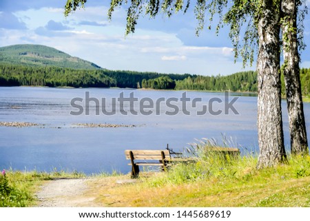 bench in park, beautiful photo digital picture