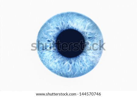 Closeup of blue eye on white background Royalty-Free Stock Photo #144570746