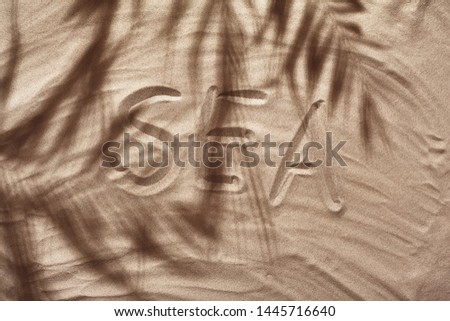 Summer concept with a shadow of a tropical palm tree leaves, copyspace on a white beach sand.