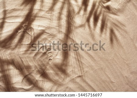 Summer concept with a shadow of a tropical palm tree leaves, copyspace.