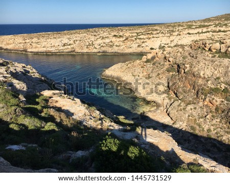Lampedusa Island, Sicily, Italy. - Cala Galera with bloomed thyme and cardoon. -Paradise island with white sand coves, clear water and colored Mediterranean scrub.