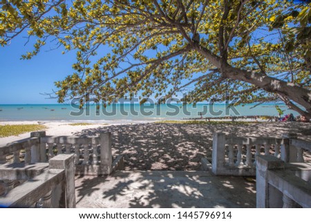 Natural background on the lake, with green trees along the beach, allowing tourists to stop on the way, blurring through the cool breeze.