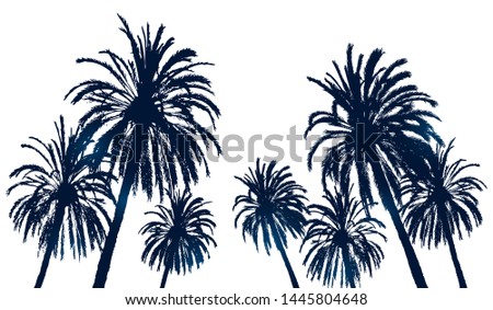 Summer background with palm trees silhouettes on white