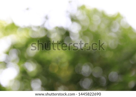 Abstract green and brown bokeh background.Images from leaves.