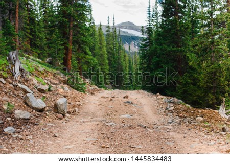 Colorado trail among the pine trees with the mountains on the background. Summer adventures in Rocky Mountains. Mountain trail for off roading.