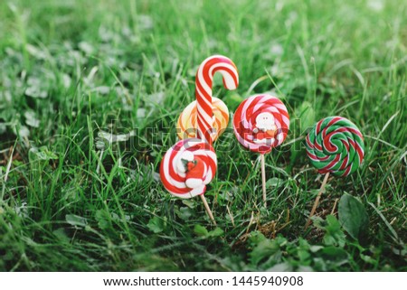 A variety of Christmas candies on the background of green grass. Colored sweets from Santa, snowman and Christmas sock