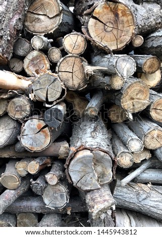 Firewood for the winter or for preraring coal.