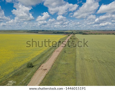 Aerial view of the dirty country road through meadow with green and yellow grass under deep blue sky with cumulus clouds (summer day)