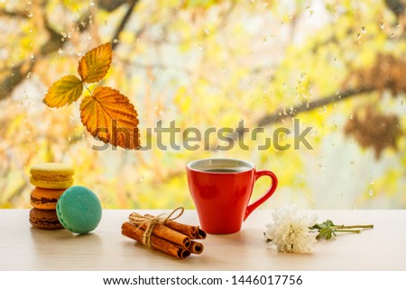 Macaroons, cup of coffee, cinnamon sticks and dry leaf on window glass with water drops in the blurred background. Fallen leaf and rain drops on a windowpane with autumn trees in the background.