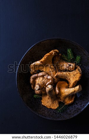 Raw chanterelle mushrooms in a ceramic bowl on black background. Dark moody composition captured from above (top view). Free copy (text) space.