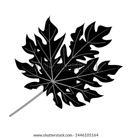  leaf vector image detail bw