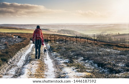A hiker walking in the early morning sun and frost covered ground of Blanchland Common in the North of England. Royalty-Free Stock Photo #1446187592