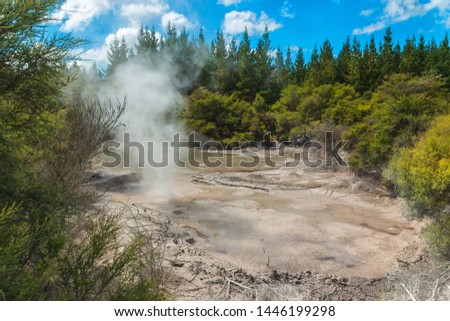 Wai o Tapu in New Zealand, the mud volcano Thermal Track
