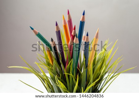 Nature Growth - Still Life Conceptual - Colored Pencils coming out of grass. Shallow depth of field, selective focusing