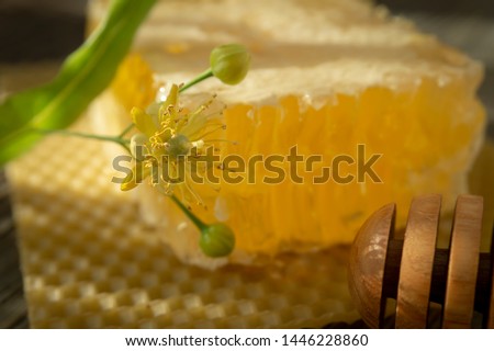 Block of comb honey with flower and wooden utensil for dispensing the honey in a low angle close up view in shadows