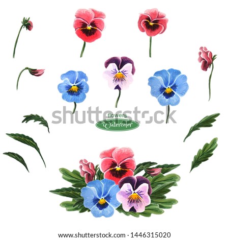 Single flowers, leaves and a bouquet of pansies isolated on a white background. Hand drawn watercolor botanical illustration. For your design and decoration.