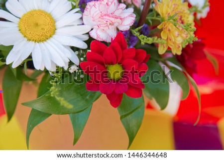 Bouquet of fresh red, white , yellow, purple roses  . Bouquet of multicolored roses . Pink, yellow flower picture close up in the bouquet. 